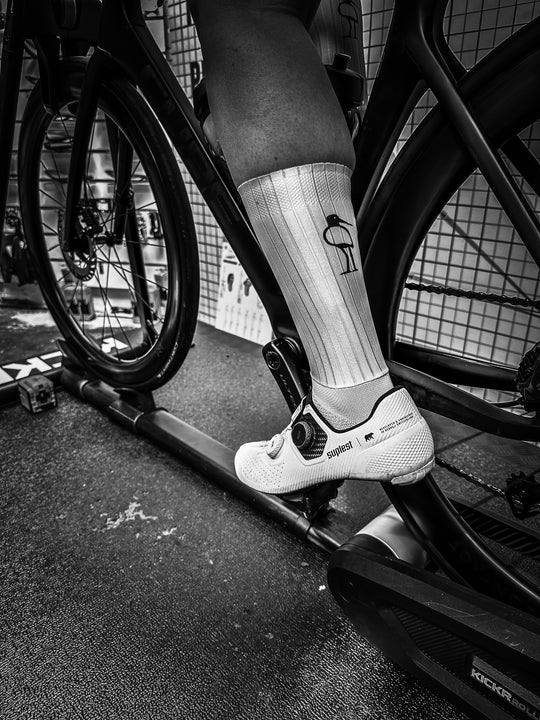 Open afbeelding in diavoorstelling NEW Speed Bird