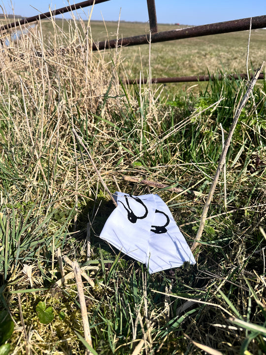 Open afbeelding in diavoorstelling NEW Big Bird