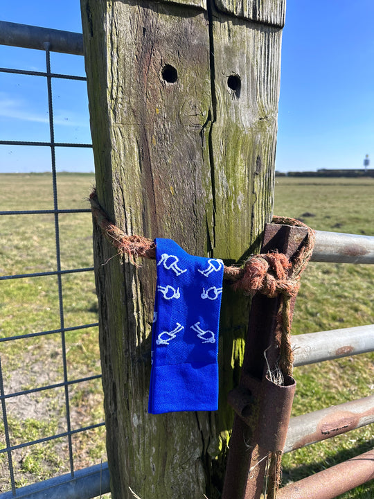 Open afbeelding in diavoorstelling NEW Polder Party 2.0