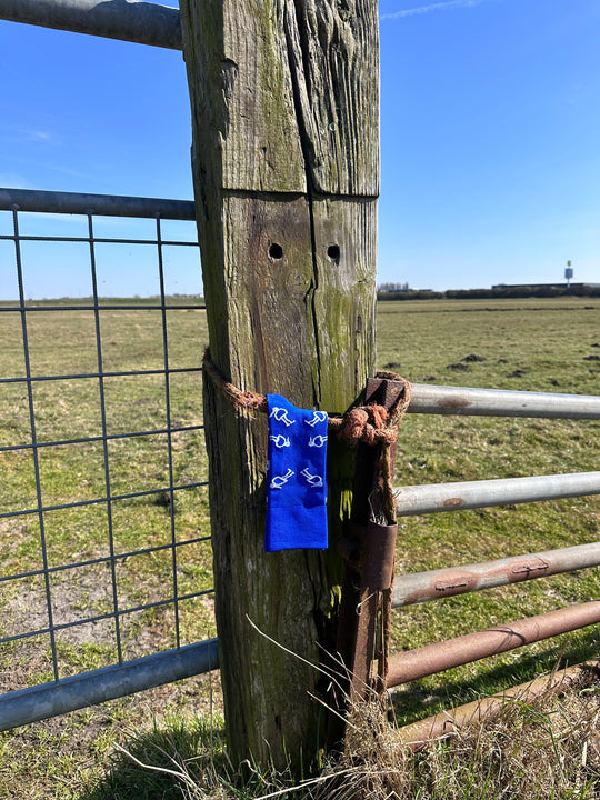 Open afbeelding in diavoorstelling NEW Polder Party 2.0