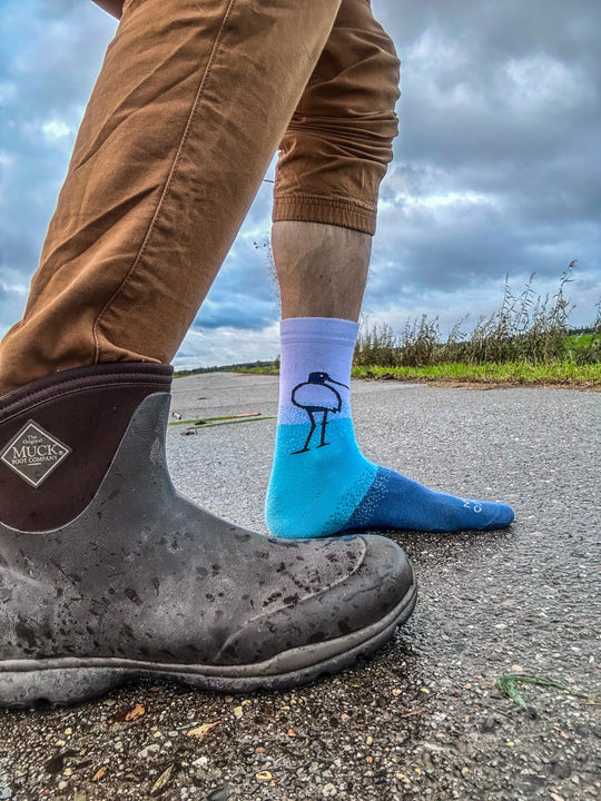 Open image in slideshow, SAVE THE GRUTTO 2023 (The Groningen Landscape)