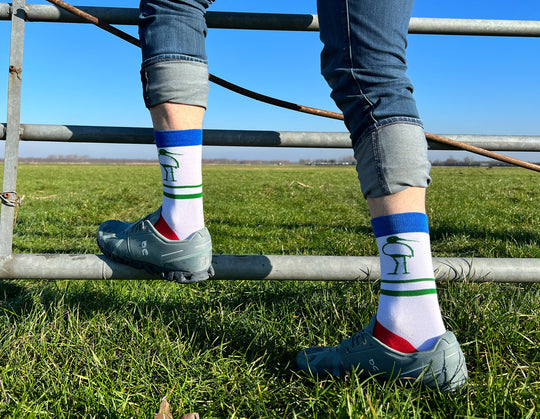 Open image in slideshow, SAVE THE GRUTTO 2023 (The Groningen Landscape)