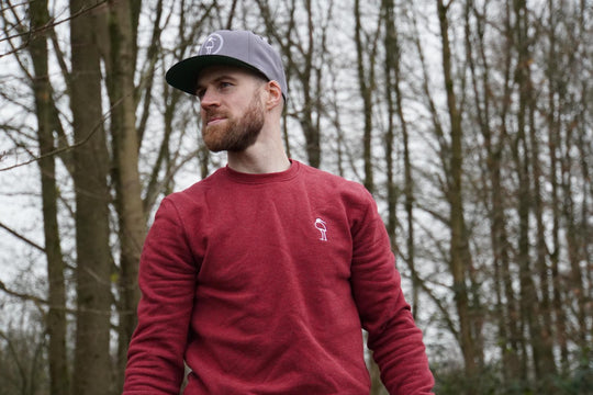 Open image in slideshow, BIRD - Sweater - Ambition Red