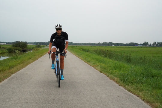 Open image in slideshow, The Black-tailed Godwit
