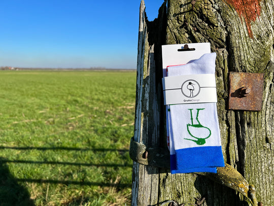 Open image in slideshow, SAVE THE GRUTTO 2023 (The Groningen Landscape)