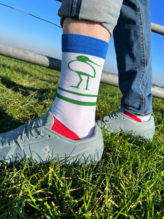 Open image in slideshow, SAVE THE GRUTTO 2023 (The Groningen Landscape)