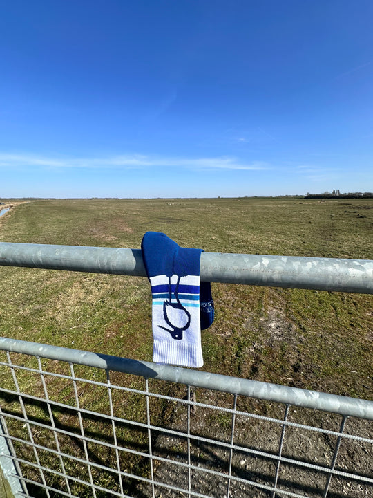 Open afbeelding in diavoorstelling NEW Hike the Dijk Blue/Blue/Blue
